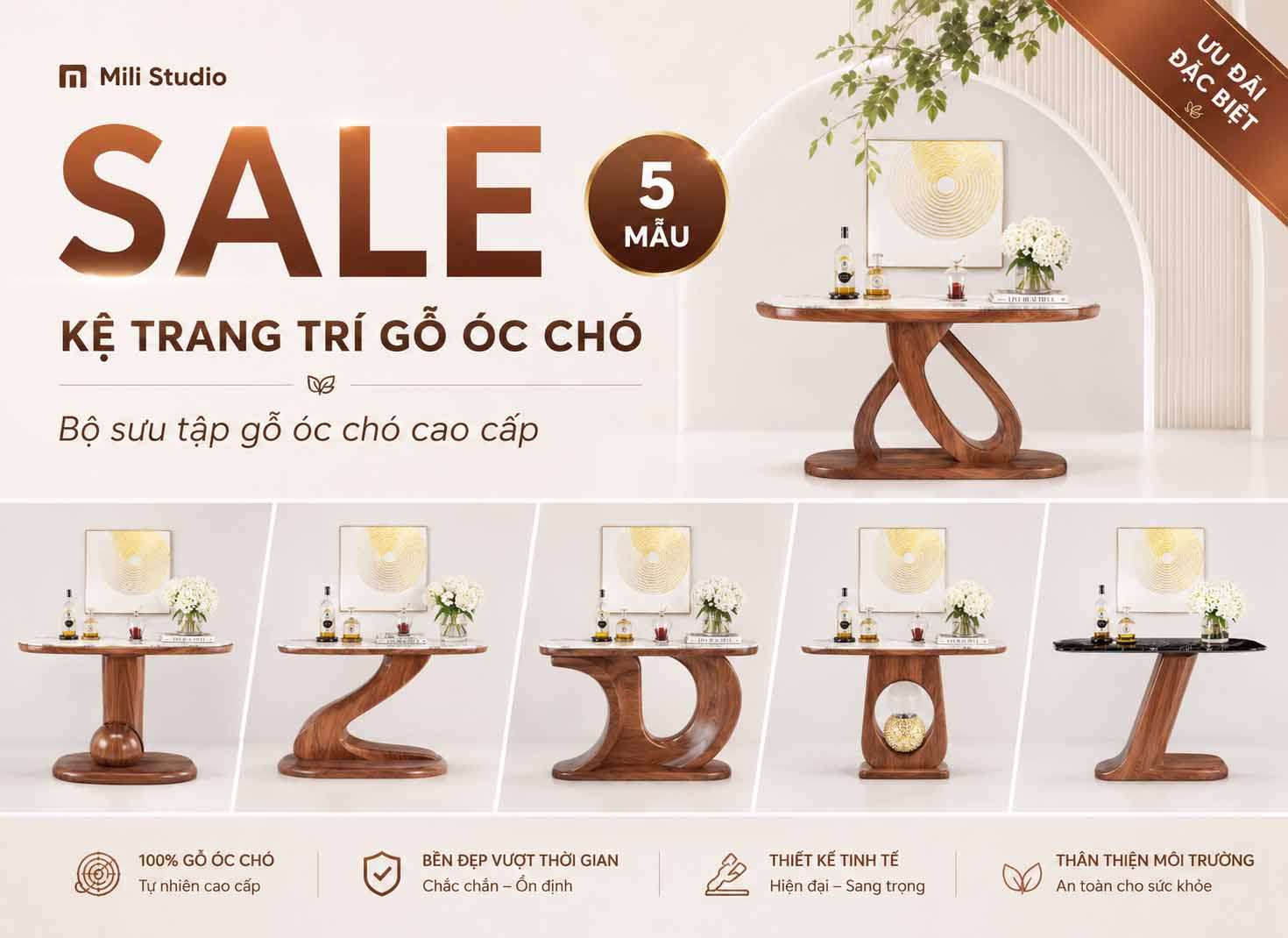 KE TRANG TRI GO OC CHO - 5 MAU